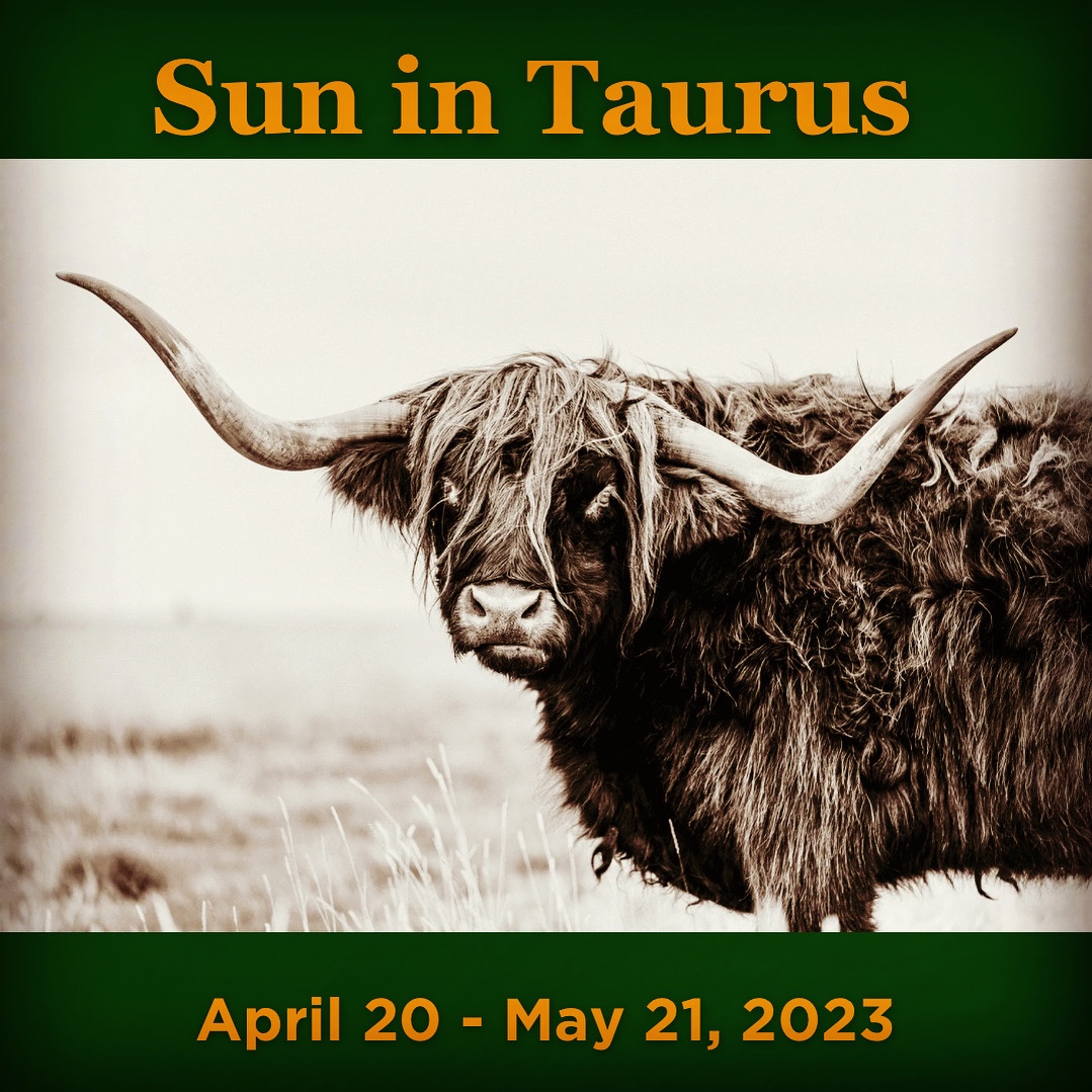Sun in Taurus